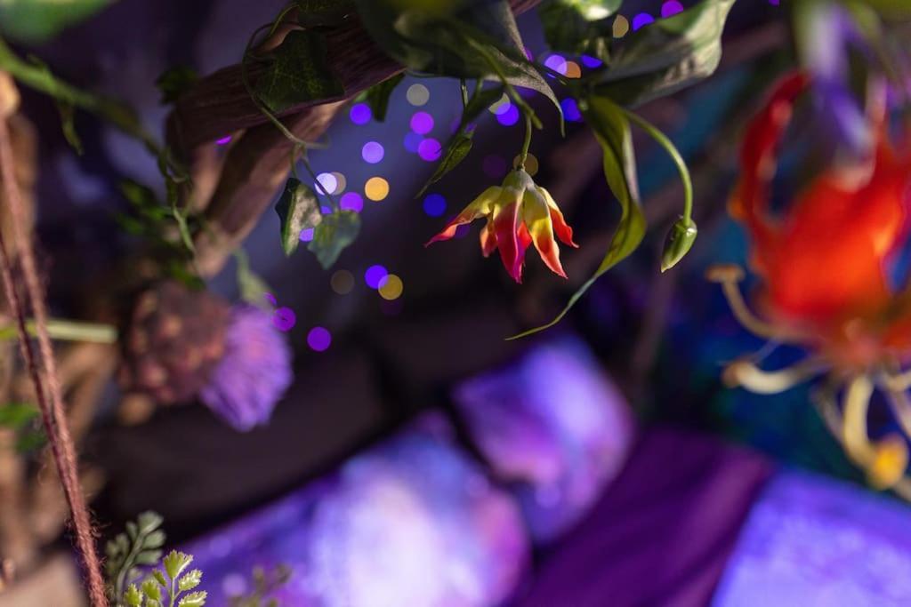 Appartement Avataar - L'Arbre De Pandoraa à Belfort Extérieur photo